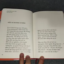 CÁNH ĐỒNG THAO THỨC - NGÔ XUÂN BÍNH 729325