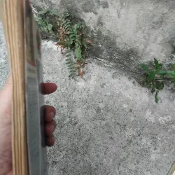 Quang Dũng người và thơ ( bản in đầu ) 1023975