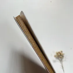 Chuyện con mèo và con chuột bạn thân của nó - Luis Sepúlveda 600491