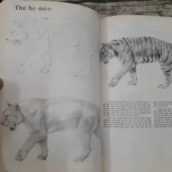 Sách dạy vẽ mỹ thuật- Bí quyết VẼ BÚT CHÌ. Tb lần 4. Huỳnh Ph. Hương Giang dịch 695468
