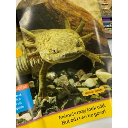 Odd Animals – National Geographic Kids 559539