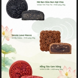 Bánh Trung thu healthy ít ngọt 536807