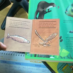 Atlas da tương tác  về động vật hoang dã 766035