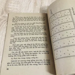 KỸ THUẬT NUÔI TÔM CÀNG XANH  1027909