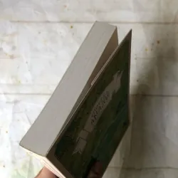 Chim Én Và Amazon: Mùa Hè Trên Hoang Đảo - Arthur Ransome 756696