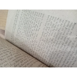 Hai mươi mùa xuân thầm lặng - Mai Thanh Hải 567786