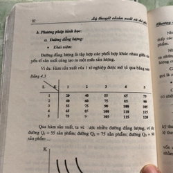 Sách Kinh Tế Vi Mô 499960