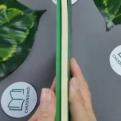 Hiệu Ứng Chim Mồi (Tập 1) 604657