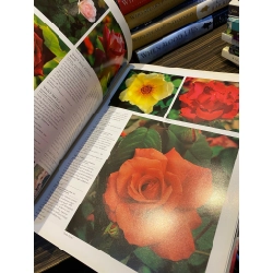 Botanica's Roses: The Encyclopedia of Roses - Foreword by David Austin 334556