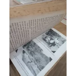 Ma vie de geisha - Mineko Iwasaki 715230