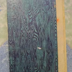 Thơ văn yêu nước chống Pháp - Nguyễn Đình Chiểu 1004332