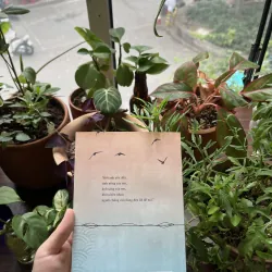 Bài Ca Ánh Sáng - Quỳnh Nguyễn 993605