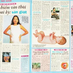 Báo Thế giới Phụ nữ xưa (Số 13/01 - 2001) 674804