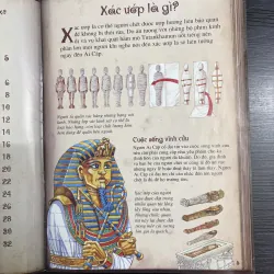 Combo 3 cuốn sách khoa học cho bé mê khám phá 926082