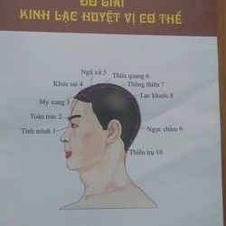 KINH LẠC HUYỆT VỊ  502885