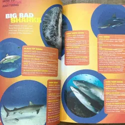 How to Survive Anything - Rachel Buchholz (National Geographic) 729084