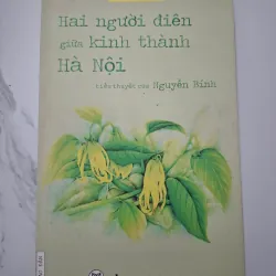 Hai người điên giữa kinh thành Hà Nội – Nguyễn Bình