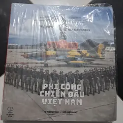 Phi công chiến đấu Việt Nam 1025769