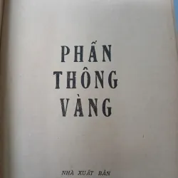 PHẤN THÔNG VÀNG - XUÂN DIỆU 936539