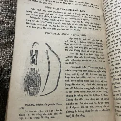 Nguyên lý môn giun tròn thú y 2; 200 trang khổ lớn  1009223