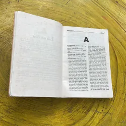 TỪ ĐIỂN Y HỌC ANH ANH VIỆT- LÂM PHƯƠNG THẢO 603157