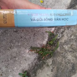 Cách mạng, kháng chiến và đời sống văn học 1945 - 1954 1019195