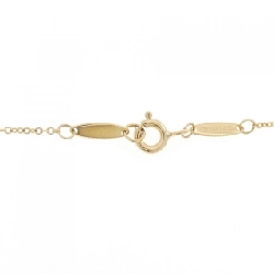 Dây chuyền Tiffany By The Yard - Hàng hiệu Authentic 842306