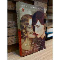 The Danish Girl - David Ebershoff