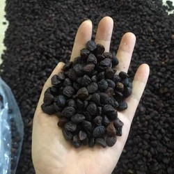 Hạt dổi nếp khô túi 1kg hàng chuẩn chất lượng từ Hoà Bình 139552