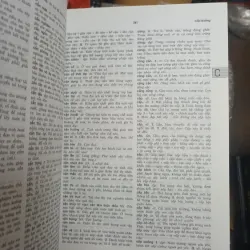 Đại Từ Điển Tiếng Việt - Nguyễn Như Ý 1022277