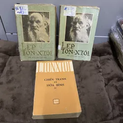 Lep tôn-xtôi (2 tập), Chiến tranh và hoà bình tập 4