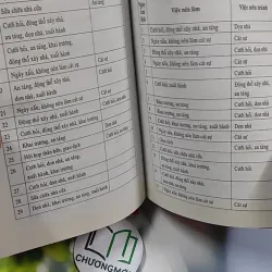 Combo: Phong Tục Chọn Ngày, 365 Ngày Vạn Sự 2020 776187