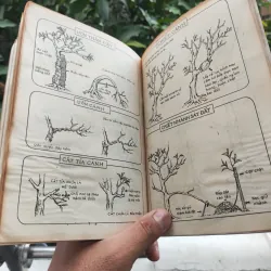 Kỹ Thuật Trồng Và Ghép Mai - Huỳnh Văn Thới 928913