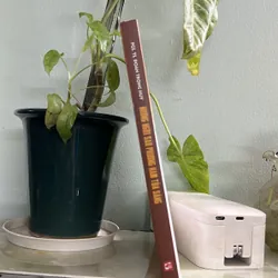 Những ngôi sao phương toả sáng - Đoàn Trọng Huy  736375