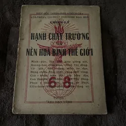 Hạnh chay trường và nền hoà bình thế giới (phật giáo trước 1975) 