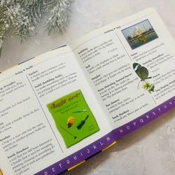 Junior Dictionary & Thesaurus 548434