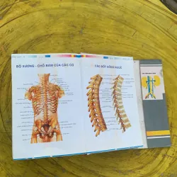 TỪ ĐIỂN Y HỌC ANH - VIỆT  nhà xuất bản từ điển Bách Khoa 790404