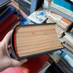 Việt nam tân từ điển 711984