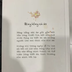 Sách bông hồng cài áo 595617