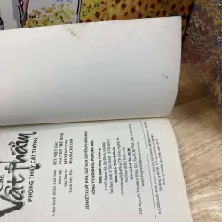 Các Vật Phẩm Phong Thủy Cát Tường 974711