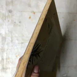 Đêm Gành Hào Nghe Điệu Hoài Lang - Vũ Đức Sao Biển 974417