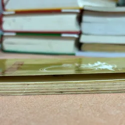 Như cõi mộng 🌊 600558