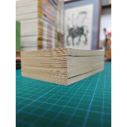 TRUYỆN TRANH HOA NẮNG - ADACHI MITSURU 297154