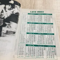 VĂN HOÁ VIỆT NAM 1989 - 1995 970546