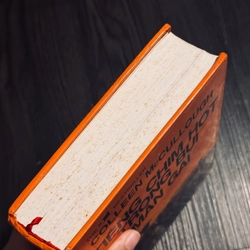 Tiếng chim hót trong bụi mận gai 527487