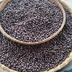 Hạt dổi nếp khô túi 1kg hàng chuẩn chất lượng từ Hoà Bình 139552