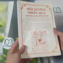 Hồi Dương Nhơn Quả 1018902