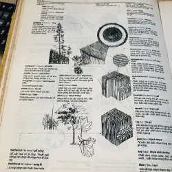 TỪ ĐIỂN KIẾN TRÚC ANH - VIỆT BẰNG HÌNH 971136