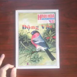 [Sách Mỹ Thuật] Hình Họa Căn Bản Leonardo Collection - Vẽ Động Vật 1 (Lê Thanh Lộc)