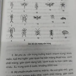 Hãy trả lời em? TẠI SAO?".
Tác giả của cuốn sách là Trình Bảo Xước và Trương Trọng Đức.
 703713